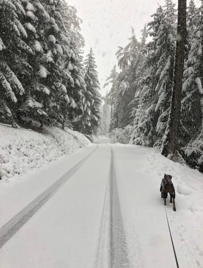 Appartamento Chalet Crans-Montana Esterno foto